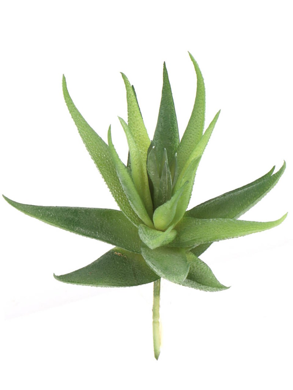 24-Pack: Real Touch Aloe Succulent Plant, 5" Wide by Floral Home®